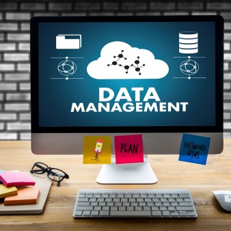 Excel y Bases de Datos