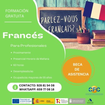 Frances para profesionales
