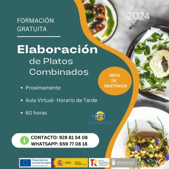 Elaboracion platos combinados